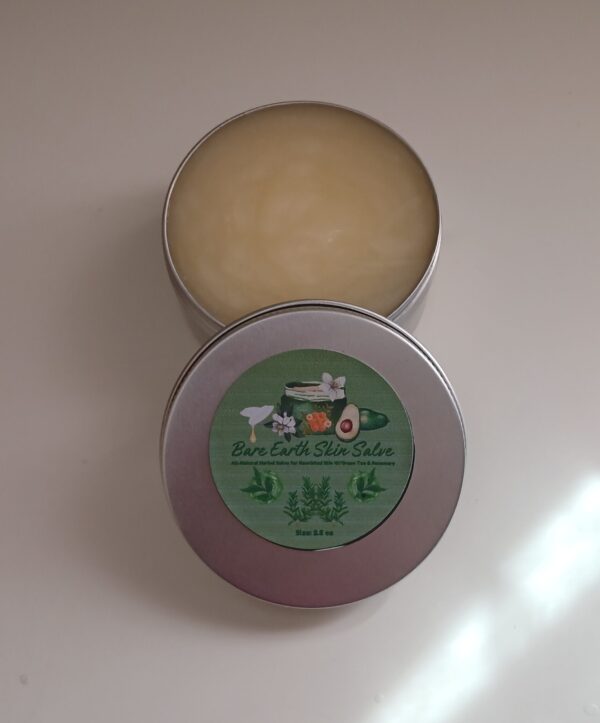 Bare Earth Skin Salve All Natural Handmade Herbal Salve for Dry Skin