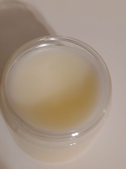 say goodbye to dry lips with squalane essence lip balm