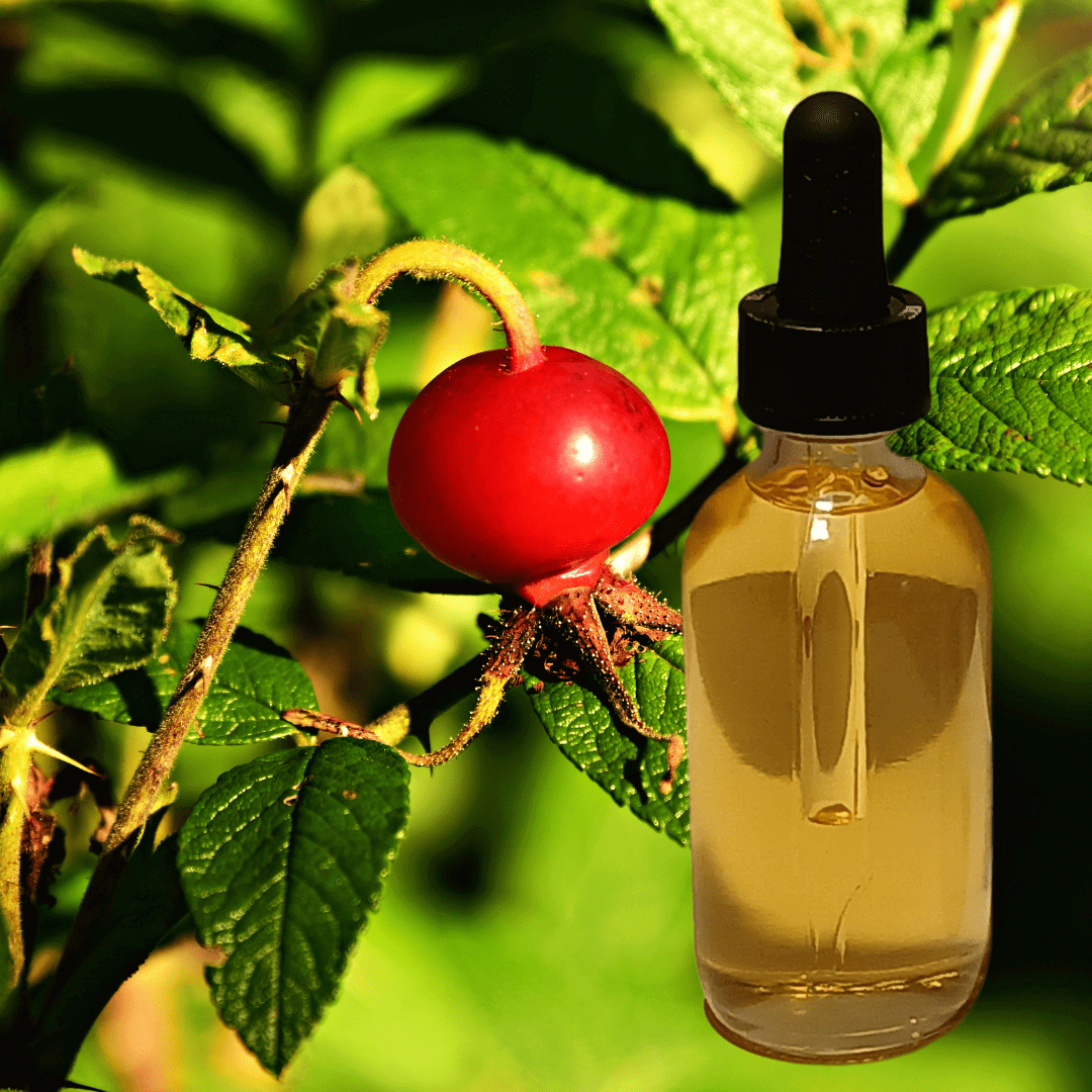 clean ingredients in our natural glow face oil southern berry radiance oil by luxe radiant roots skincare